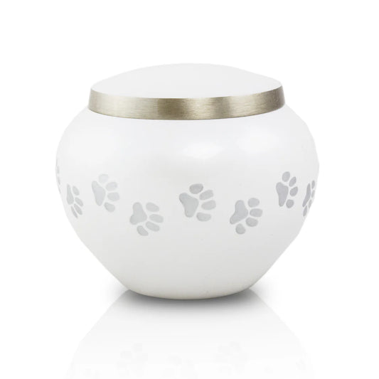 A pearly white brass pet urn with polished pewter paw prints on it, and a polished pewter lid.